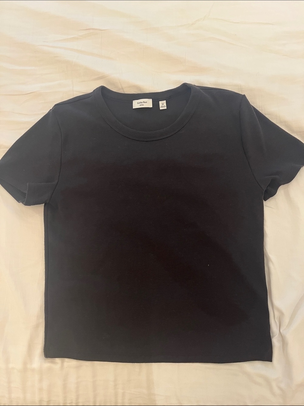 Aritzia Black Short Sleeve Sunday best baby Tee